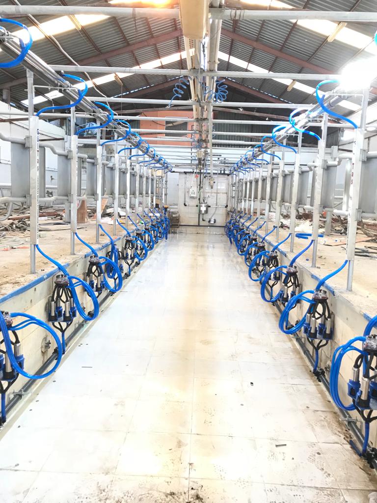 Süt Sağım Sistemi